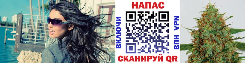 Бошки марихуана SATIVA & INDICA  купить наркотики сайты  Домодедово 